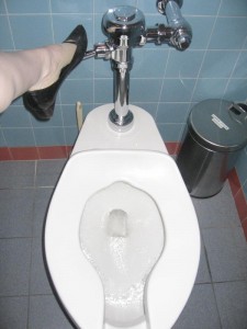 Flushing the Toilet